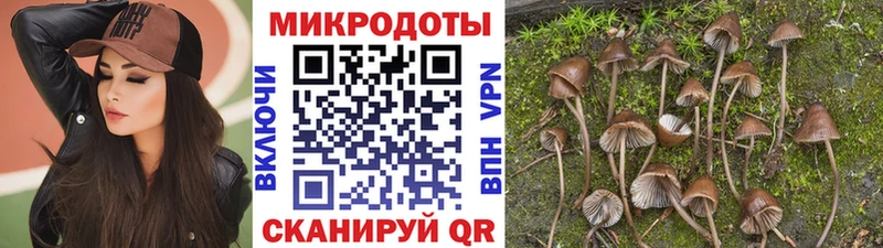 где продают наркотики Новый Уренгой Псилоцибиновые грибы ЛСД