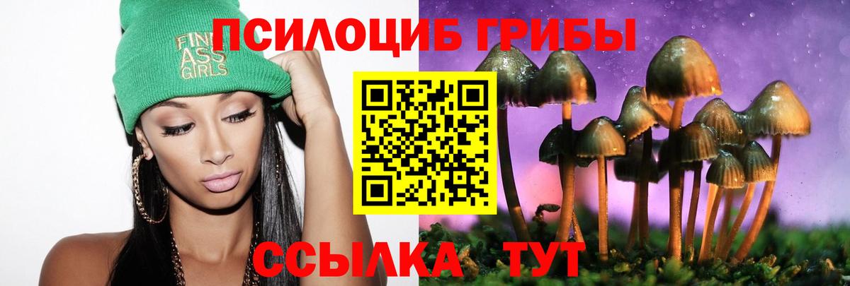 Галлюциногенные грибы GOLDEN TEACHER Новый Уренгой