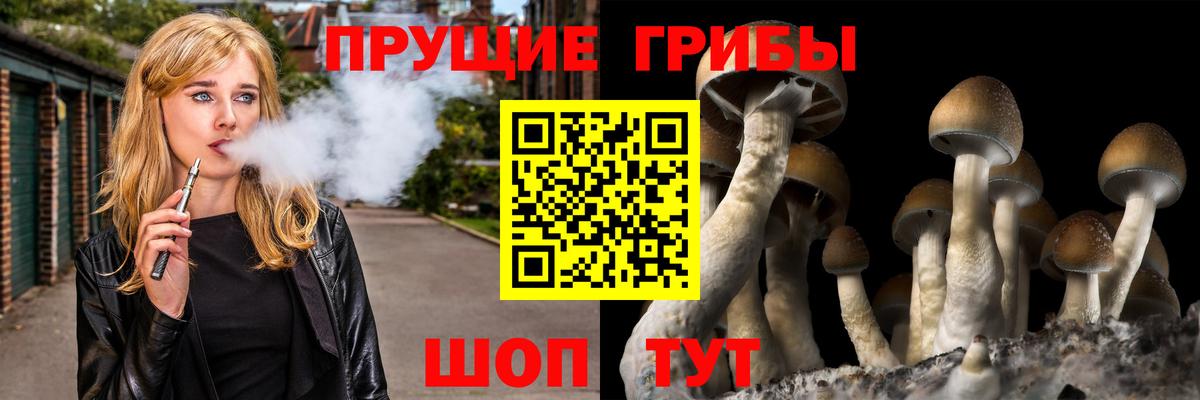 Новый Уренгой  Псилоцибиновые грибы Cubensis  Вход с VPN 